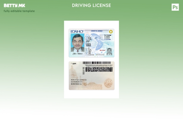 Модерен стил присутен шаблон за возачка дозвола САД Ајдахо 1